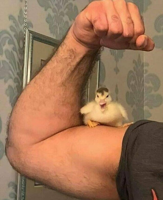 What Is Going On Here? (24 pics)