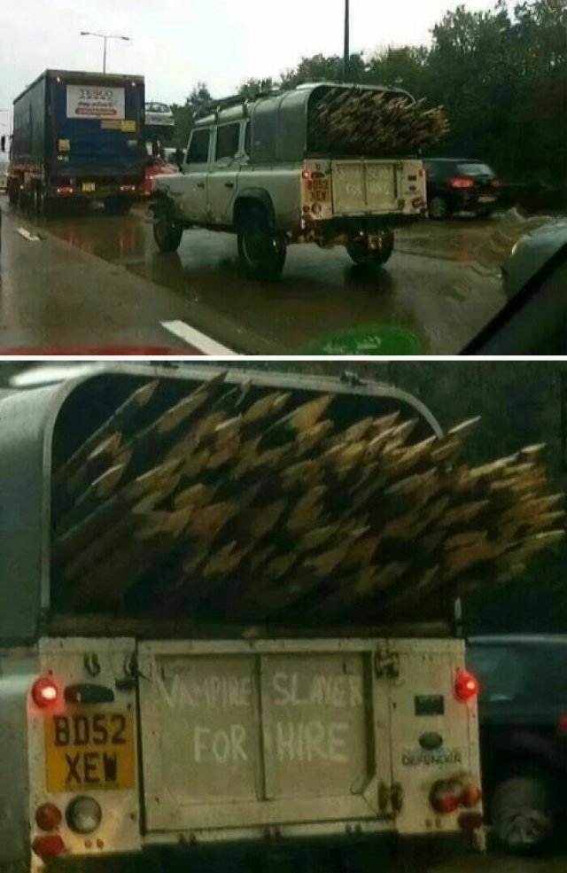 What Is Going On Here? (24 pics)