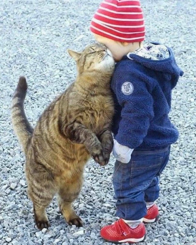 What Is Going On Here? (24 pics)