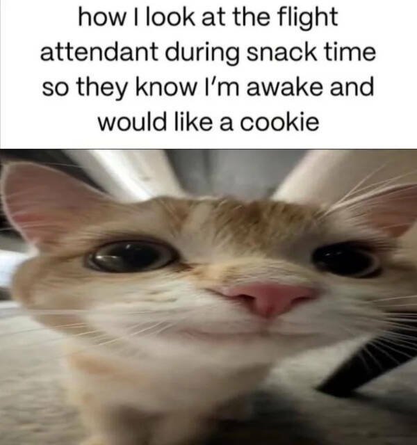 Funny Memes (22 pics)