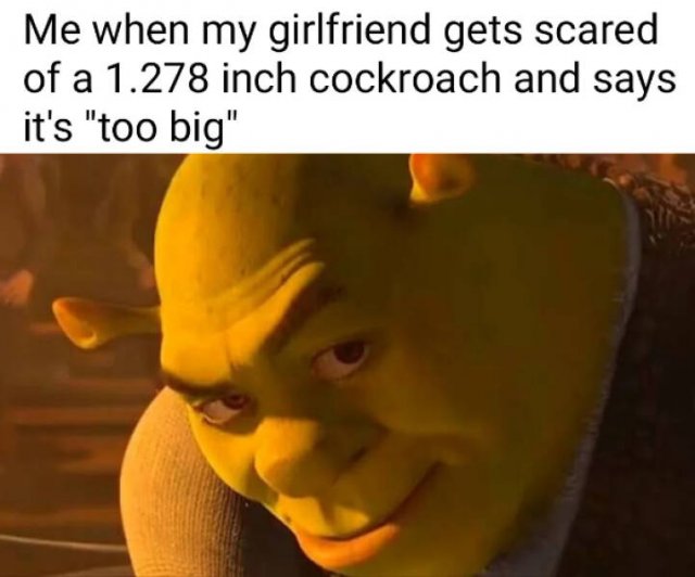 Funny Memes (22 pics)