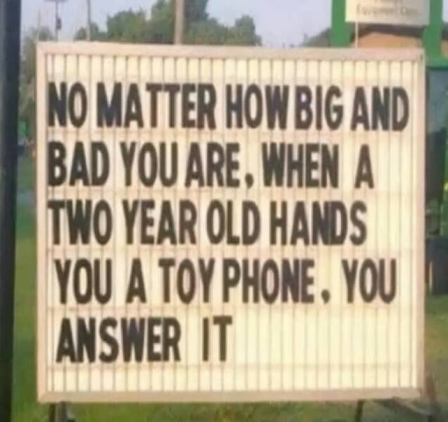 Memes For Women (15 pics)
