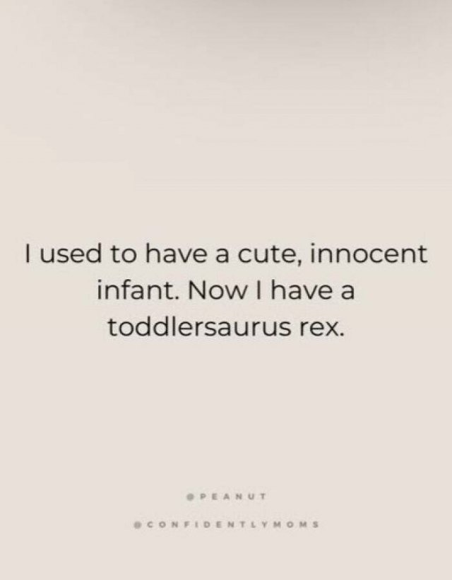 Memes For Women (15 pics)