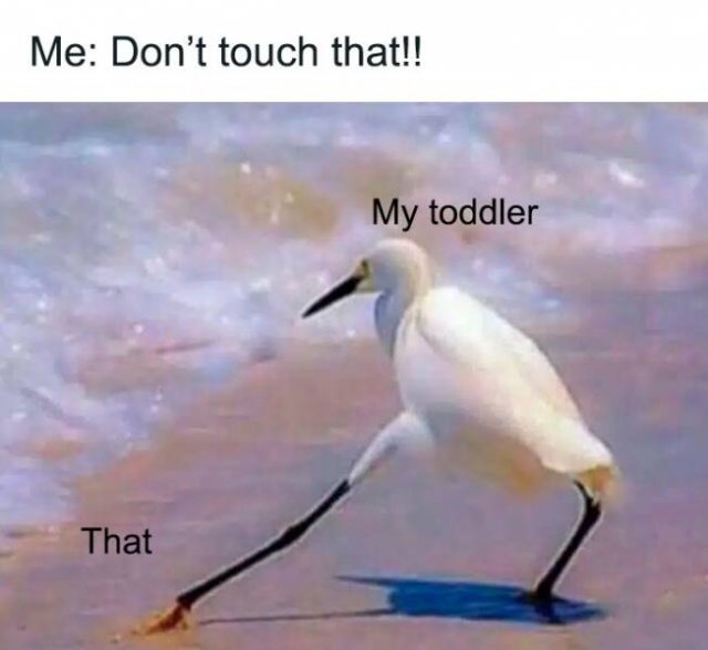 Memes For Women (15 pics)