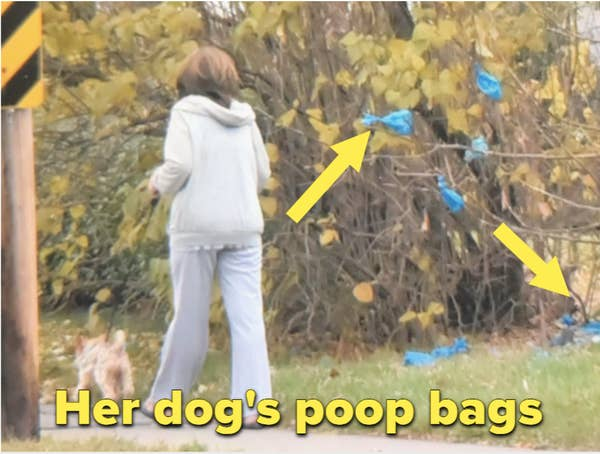 Annoying Finds And Situations (29 pics)