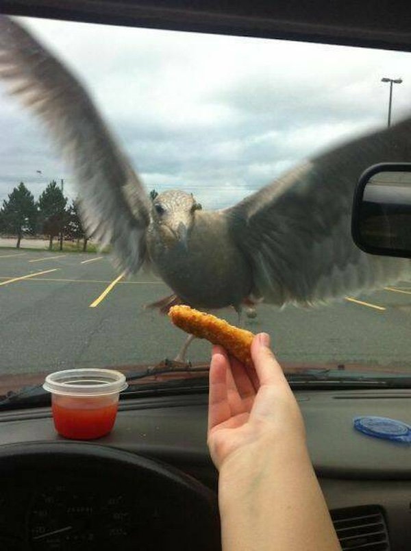 Annoying Finds And Situations (29 pics)