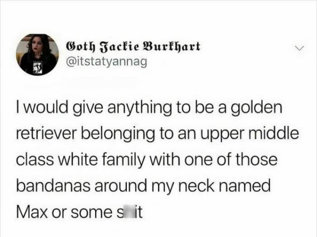 Funny Memes (25 pics)