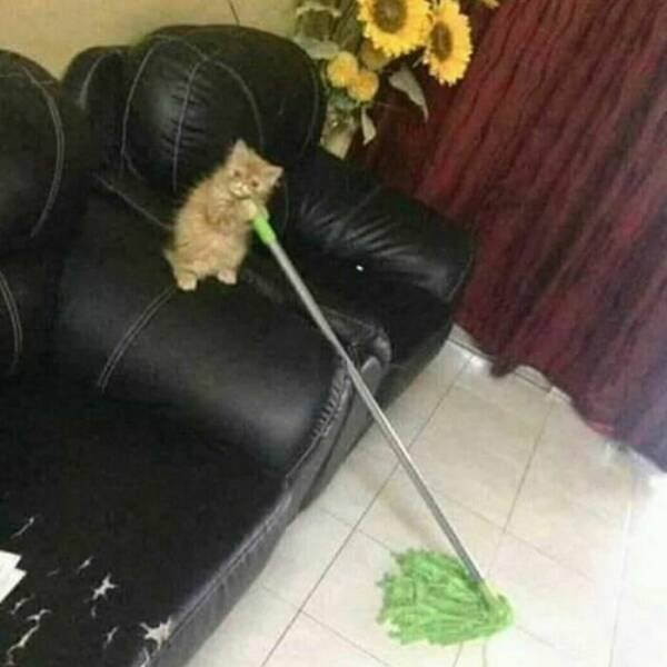What Is Going On Here? (27 pics)