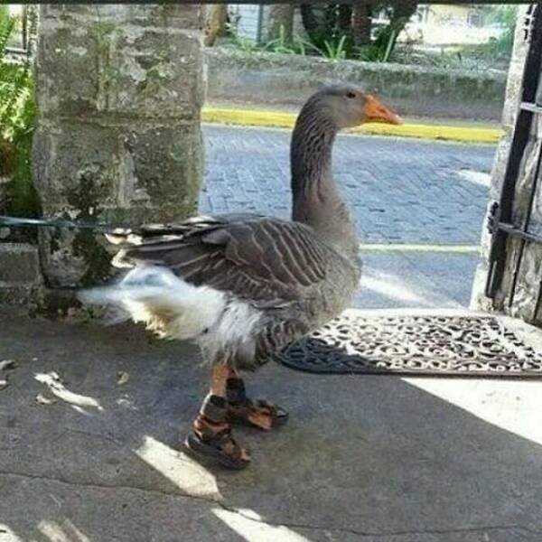 What Is Going On Here? (27 pics)
