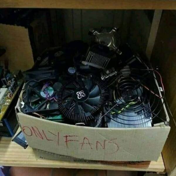 What Is Going On Here? (27 pics)