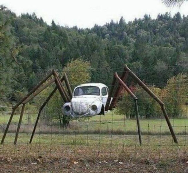 What Is Going On Here? (27 pics)