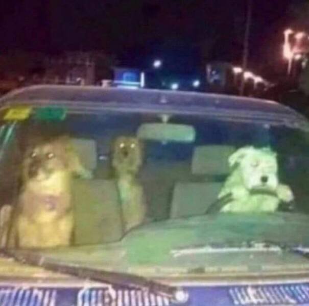 What Is Going On Here? (27 pics)
