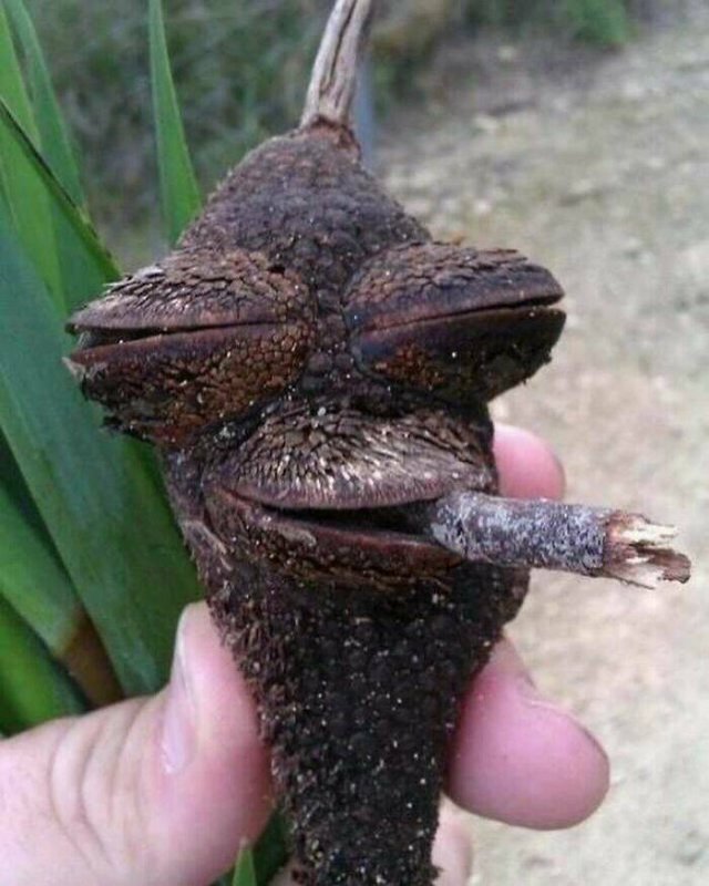 What Is Going On Here? (27 pics)