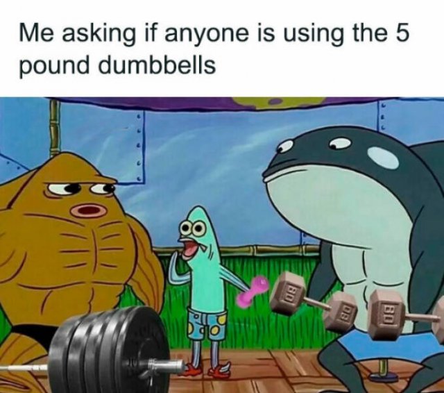 Gym Memes (23 pics)