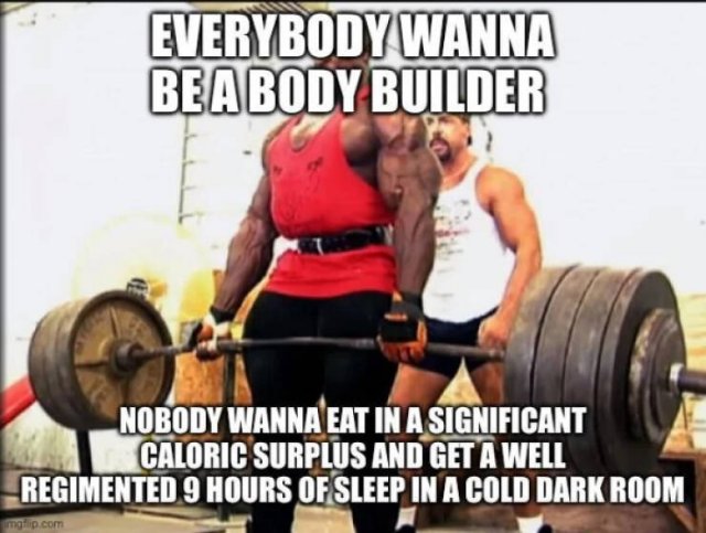 Gym Memes (23 pics)