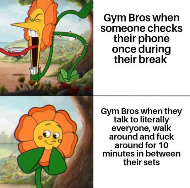 Gym Memes (23 pics)