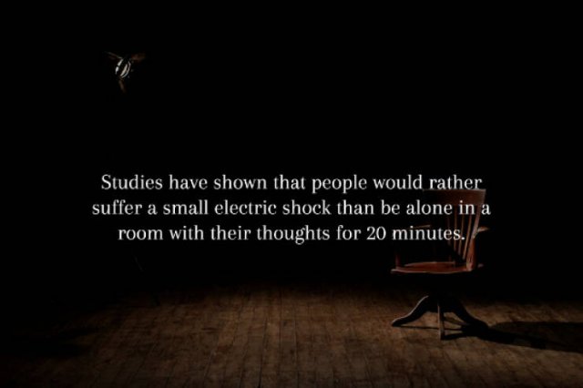 Creepy Facts (14 pics)
