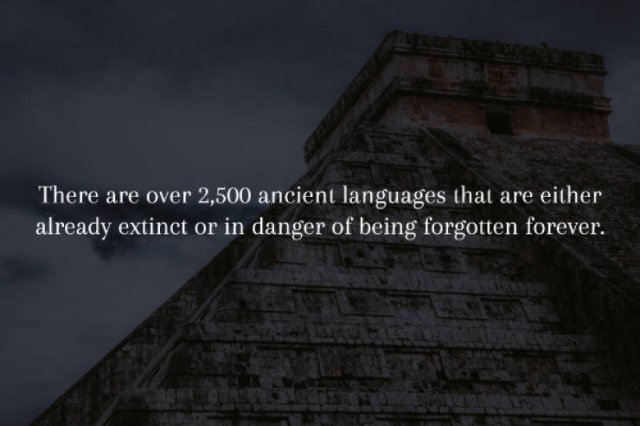 Creepy Facts (14 pics)