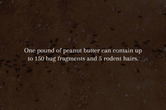 Creepy Facts (14 pics)