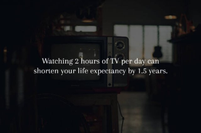 Creepy Facts (14 pics)