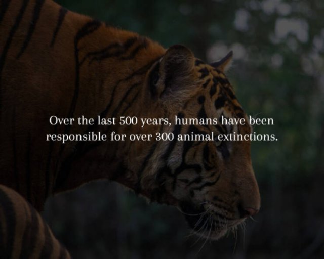 Creepy Facts (14 pics)