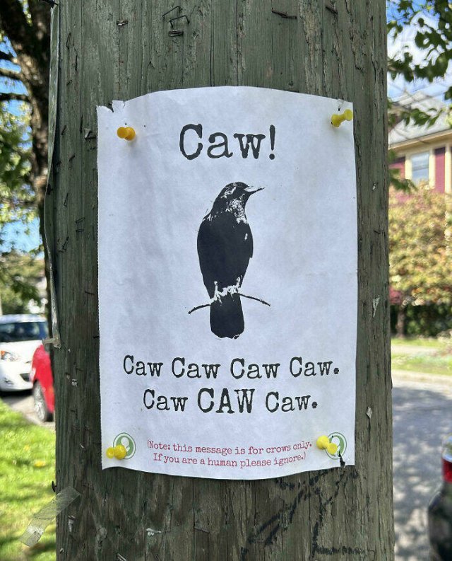 Fascinating Photos From Canada (21 pics)