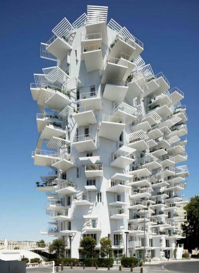 What Is Going On Here? (21 pics)