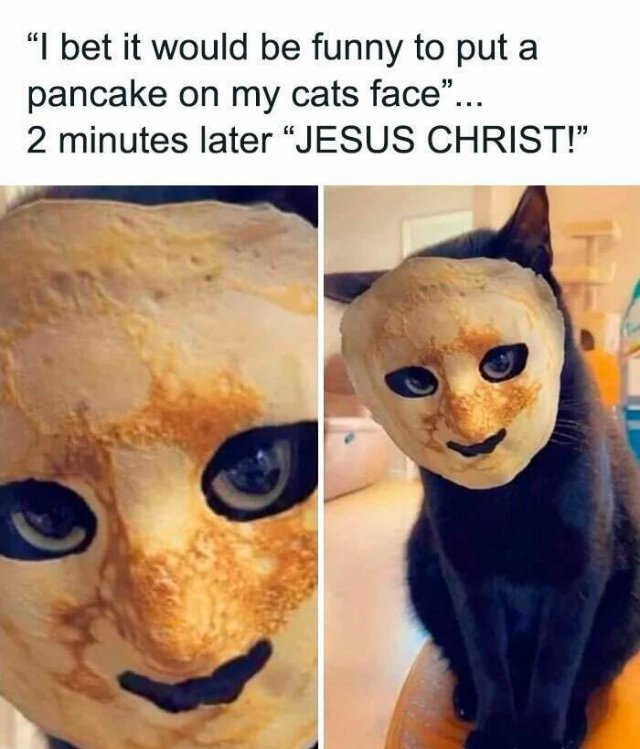 What Is Going On Here? (21 pics)