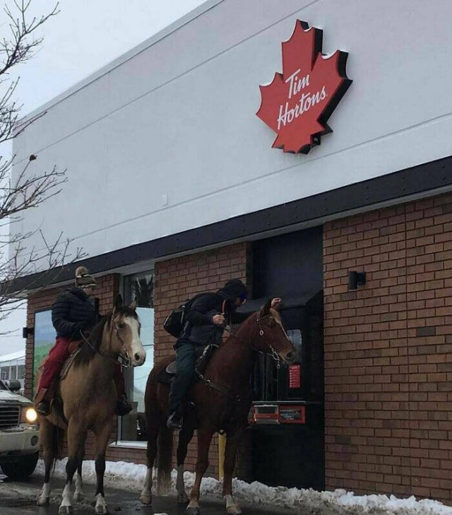 Fascinating Photos From Canada (21 pics)
