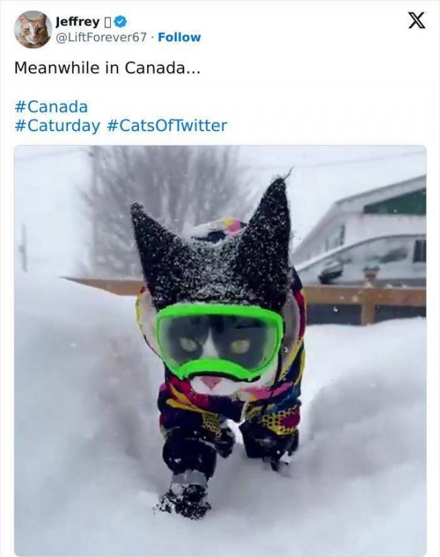Fascinating Photos From Canada (21 pics)