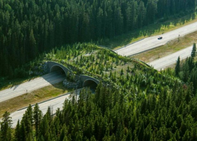 Fascinating Photos From Canada (21 pics)