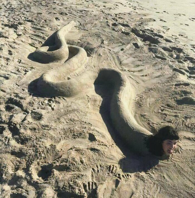 What Is Going On Here? (21 pics)