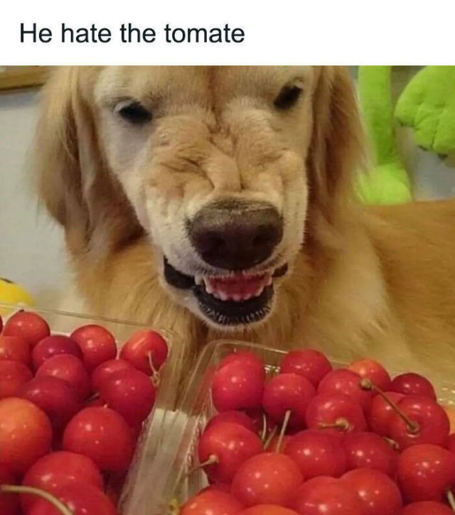 Memes About Food (25 pics)