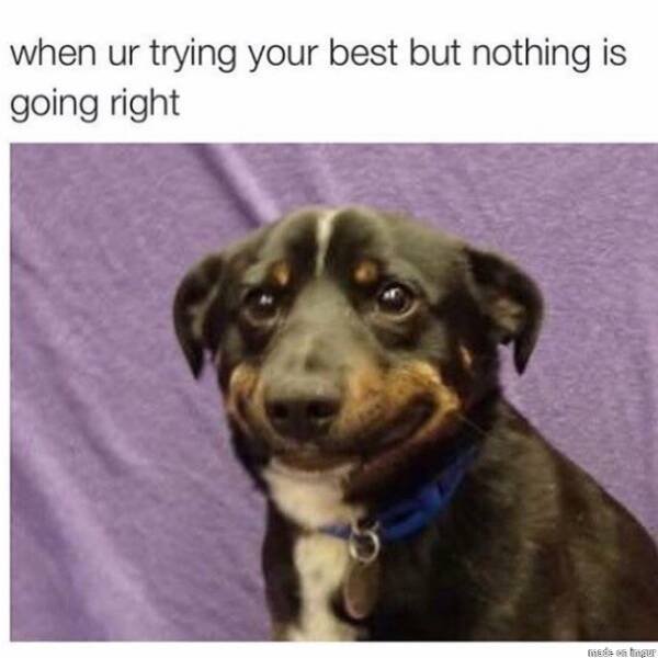Memes About Anxiety (23 pics)