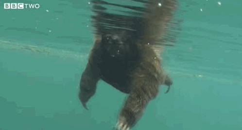 Random Knowledges (15 gifs) Random Knowledges (15 gifs)