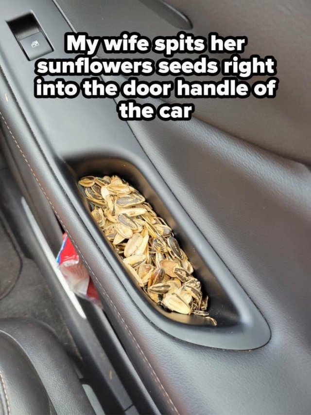 Annoying Habits Of Relatives (28 pics)