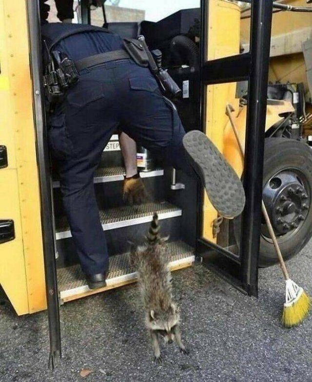 Funny Photos And Finds Without Context (19 pics)