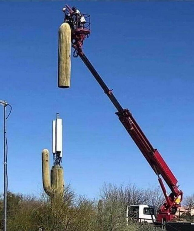 Funny Photos And Finds Without Context (19 pics)