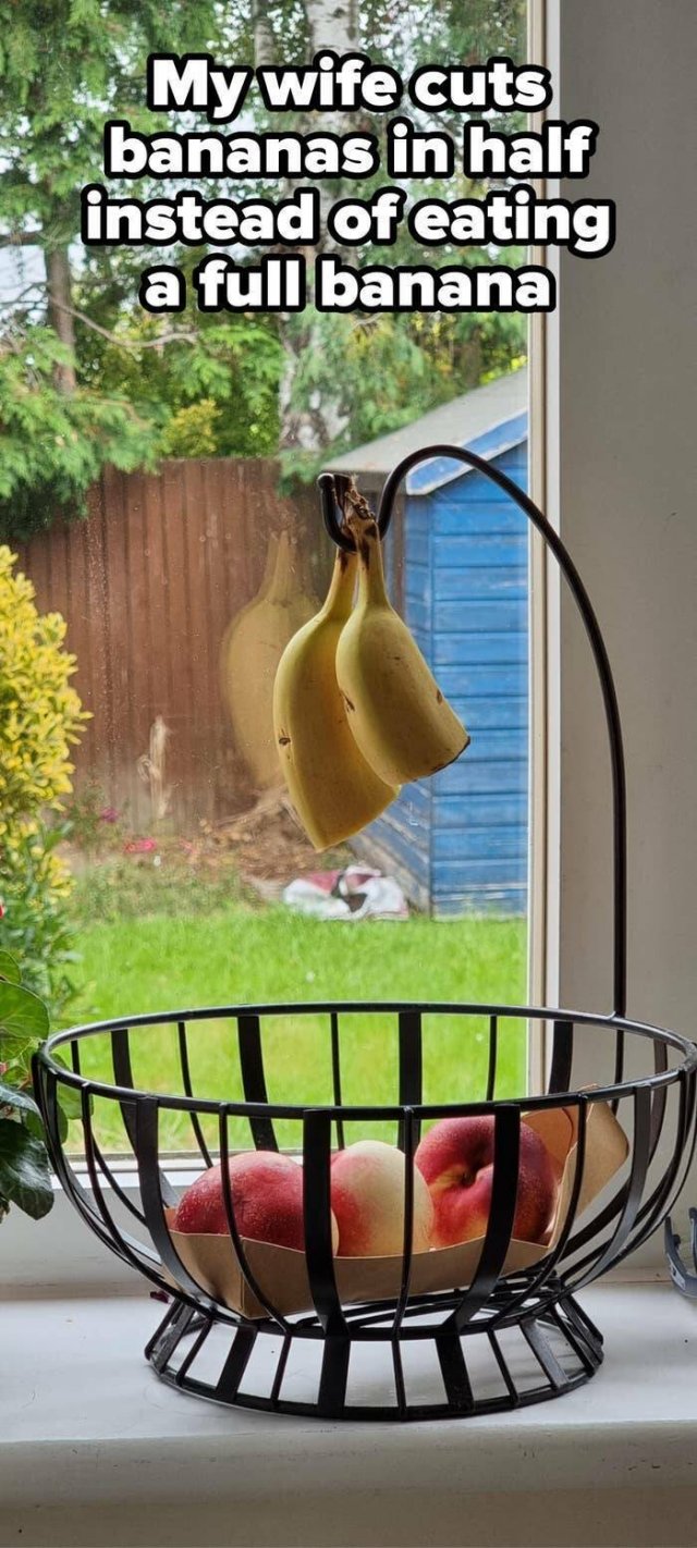 Annoying Habits Of Relatives (28 pics)