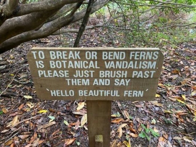 Funny Photos And Finds Without Context (19 pics)