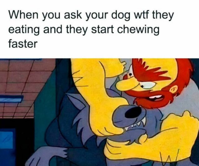 Random Memes (27 pics)