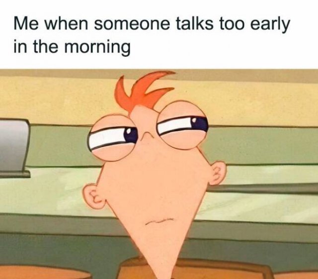 Random Memes (27 pics)