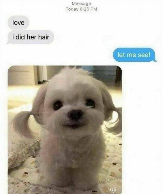 Random Memes (27 pics)