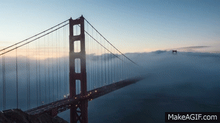 Myths Our Parents Taught Us (17 gifs)