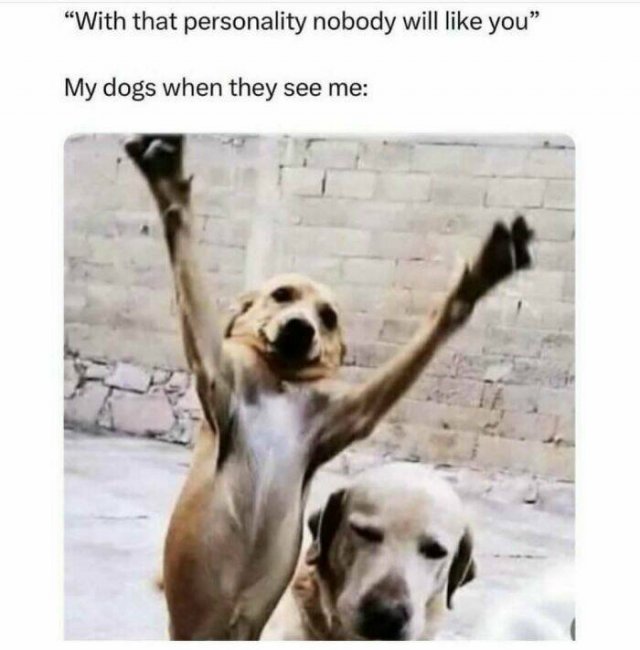 Random Memes (27 pics)