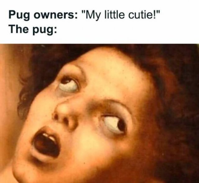 Random Memes (27 pics)