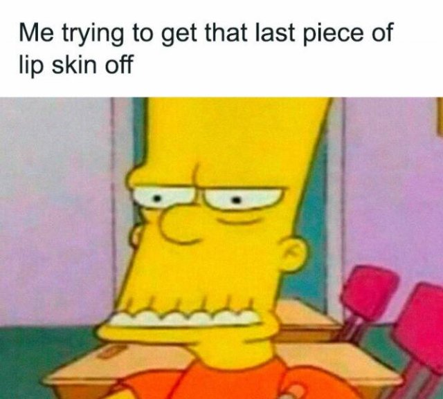 Random Memes (27 pics)