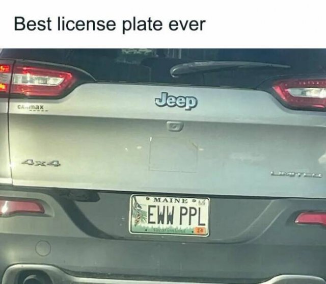Random Memes (27 pics)