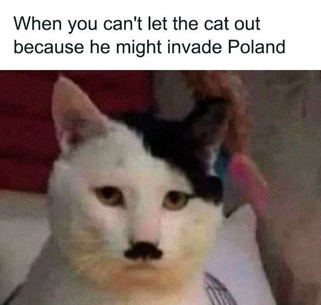 Random Memes (27 pics)