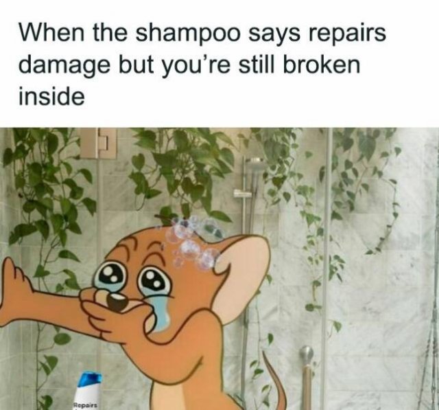 Jokes For Women (22 pics)